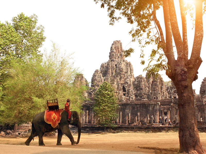 Kamboçta Angkorwat önünde fil gezintisi