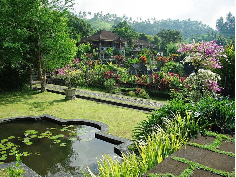 Etrafı yeil olmuş ve üstüne yapraklar düşmüş küçük bir bir havuz arkasında yemyeşil bir doğa, Bali
