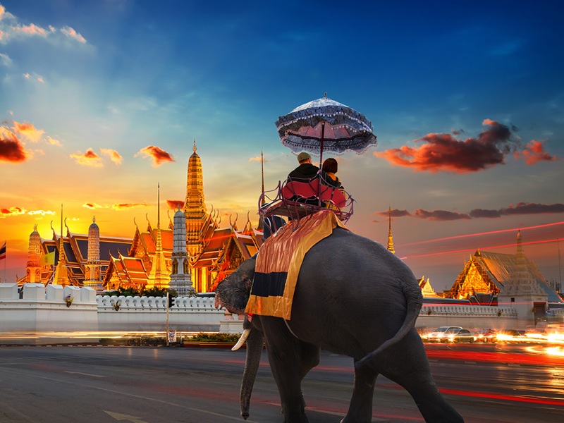 Tayland'da şehir içinde gece fil ile gezerken tapınağın önünden geçen turistler